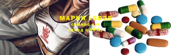 гидропоника Алзамай