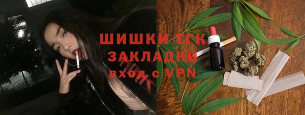 гидропоника Алзамай
