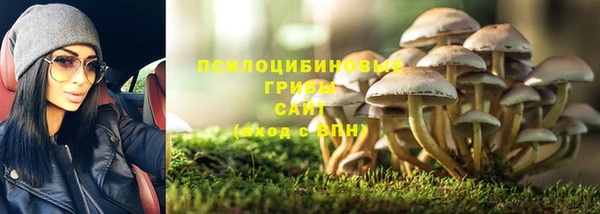 гидропоника Алзамай